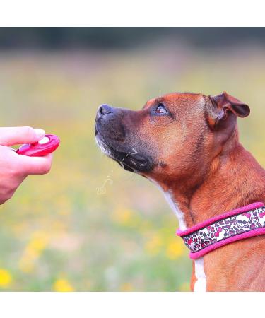 Puppy Clicker for Obedience Training | Train Pets Puppies Cats & Dogs - Red - Buy Online on GoSupps.com