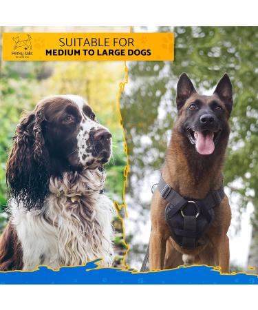 Dog Paw Cleaner Large with Handle - Micro-Fibre Drying Mitt Included - Buy Online on GoSupps.com