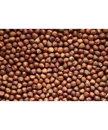 AgnesGP Hazelnuts In Shells for Wild Birds and Squirrels (5Kg Sack Included) - Nutrient-Rich Snack for Your Backyard Friends - Buy Online on GoSupps.com