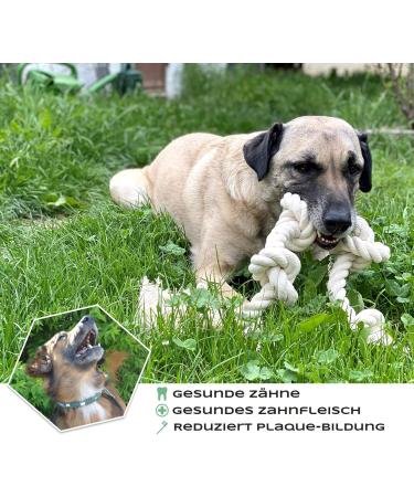 Go Rilla Dog Rope Toys Set for Medium/Large Dogs | Interactive Chicken Stuffed Toys | Durable & Cleaning-Friendly | Perfect for Puppies! - Buy Online on GoSupps.com