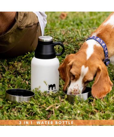 Miracle Pets 1L Stainless Steel Dog Drinking Bottle & Food Bowl - BPA-Free On-the-Go Puppy Accessories with Cleaning Brush - Buy Online on GoSupps.com