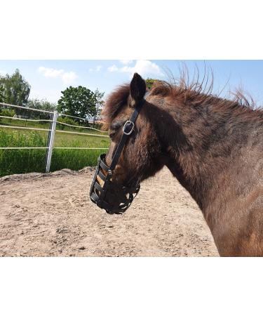 Heavy Horse Feeding Muzzle | Strong & Durable for Warmbloods & Coldbloods - No Throatlatch Reinforced Base Plate - Buy Online on GoSupps.com