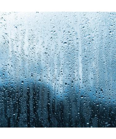 Tuscany Candle Eucalyptus Aloe Scented Jar Candle - 12 oz | Premium Aromatherapy & Home Fragrance | Shop Internationally - Buy Online on GoSupps.com