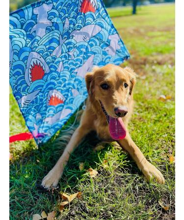 Large Premium Diamond Kite - Easy to Fly for Kids and Adults | Fun Outdoor Activity for Boys and Girls | Perfect for Beach or Park (Watercolor) Tie-Dye - Buy Online on GoSupps.com