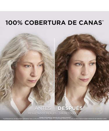 L'Or al Paris Excellence Cr me Tinte Permanente - Tono 6.35 Chocolate | Compra Internacional con Env o R pido - Buy Online on GoSupps.com