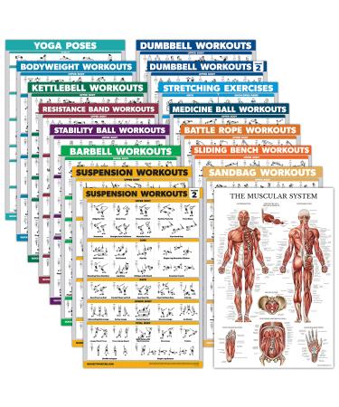 Exercise poster set: dumbbell suspension ballpool resistance straps medicine ball fighting rope stretching body weight barbell yoga gym muscle laminated 45.7 x 61 cm 16 pieces cm) laminated 18 "x 24"