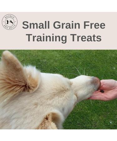 Bounce and Bella Grain Free Training Treats made with Freshly Prepared Ingredients (1 Poultry & 1 Fish 2 Pack 1000g) - Buy Online on GoSupps.com