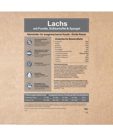 Wildfang Dry Dog Food - Grain Free Dog Food - Salmon with Trout Sweet Potato and Asparagus | Ideal for Large Dogs (2kg) - Buy Online on GoSupps.com