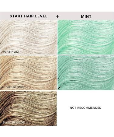 Keracolor Clenditioner Hair Dye | Semi Permanent Color Depositing Conditioner 12 Fl Oz | Mint | Cruelty-free | 20 Colors Available - Buy Online on GoSupps.com