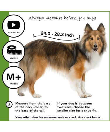Buy Suitical Recovery Suit for Dogs - M+ Size in Black | Ideal Post-Surgery Pet Wear - International Shipping Available - Buy Online on GoSupps.com