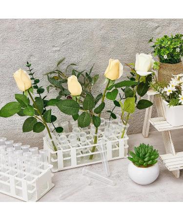 50 Pcs Floral Water Tubes with Rack Holder - Flower Vials for Milkweed Cuttings and Arrangements - Buy Online on GoSupps.com