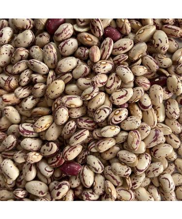 Cranberry Beans Borlotti Beans Romano Beans Non-GMO Product of Canada 2.5 kg (5.5 lb) - Buy Online on GoSupps.com