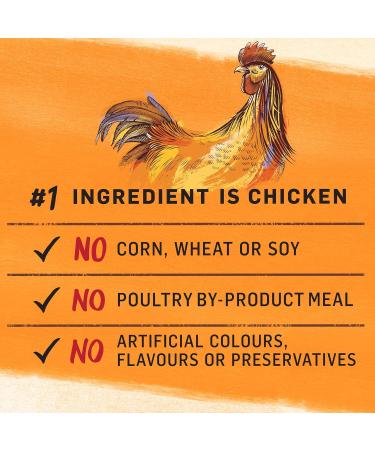 Beyond Grain Free Natural Dry Dog Food Farm-Raised Chicken & Egg - 1.36 kg Bag 1.36 kg (Pack of 1) - Buy Online on GoSupps.com