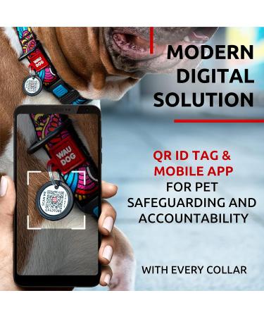 Waudog Nylon Collar for Dogs - Adjustable Durable and Stylish | Ideal for Large Medium and Small Breeds - Summer Collection - 31-49 cm Length 25 mm Width - Buy Online on GoSupps.com