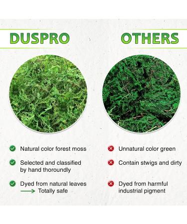 DUSPRO Green Moss: Artificial Moss for Crafts, Potted Plants, Table Decor, Weddings & DIY Projects - 140gr - Buy Online on GoSupps.com