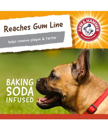 Arm & Hammer Treadz Gorilla Dental Toy for Strong Chewers - Small Size - Buy Online on GoSupps.com