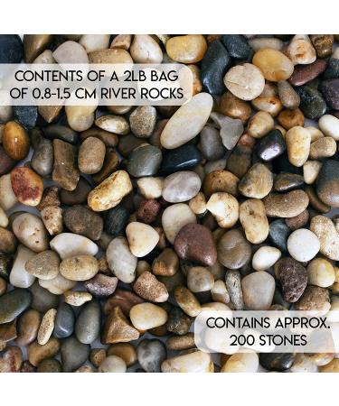 Galashield 2 lb Bag Polished River Rocks for Plants, Vases, Landscaping, Aquariums - 1-2 cm Decorative Stones - Buy Online on GoSupps.com