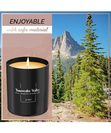 Relaxd Premium Yosemite Valley Scented Soy Wax Candle - Pine Bergamot & Cedarwood Aromatherapy, Hand Poured for Long Lasting Pleasure - Buy Online on GoSupps.com