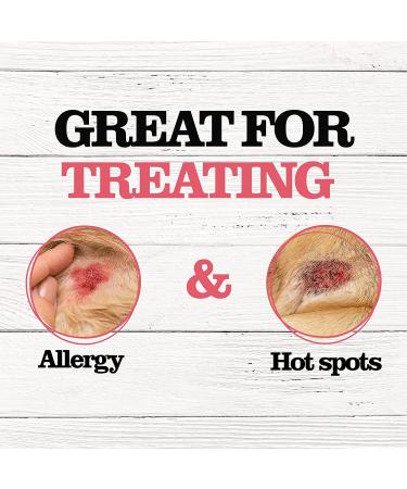 Dr. Pol Anti Itch Spray for Dogs and Cats - 8 oz - Skin Allergy Relief with Ketoconazole and Chlorhexidine - Wound Care and Itch Relief Spray - Buy Online on GoSupps.com