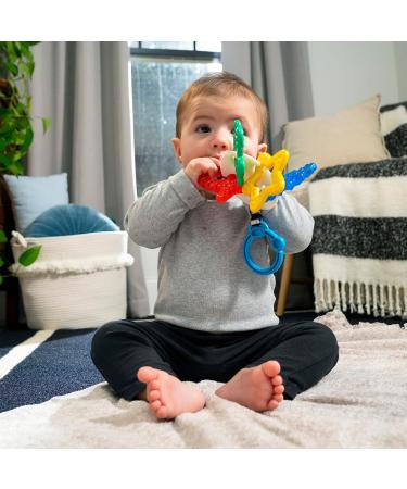 Buy Baby Einstein Ocean Explorers Sea of Sensory Teether - BPA-Free Ideal for 3 Months+ - Buy Online on GoSupps.com