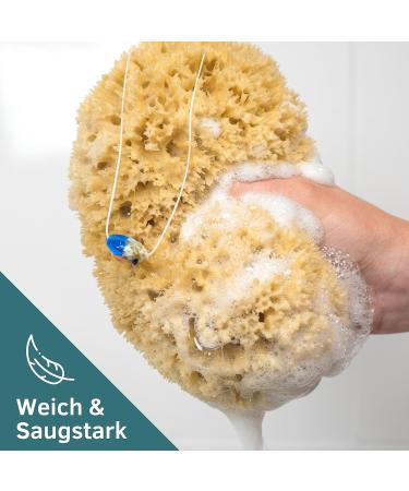Tom & Pat Natural Sponge - Premium Quality Bathing & Shower Sponge from Greece | Dermatest Very Good 25-26 cm Body Peeling Sponge with Cord & Glass Trailer - Buy Online on GoSupps.com