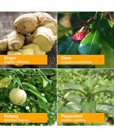 Herb Pharm Gastro Calm Liquid Herbal Formula - 1 Ounce - Occasional Gas Relief - Buy Online on GoSupps.com