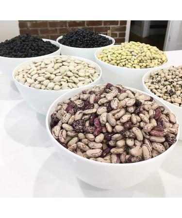 Green Flageolet Heirloom Beans Non GMO - 2 Pounds | Caviar of Beans - Buy Online on GoSupps.com