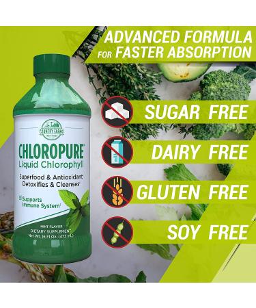 Country Farms Chloropure Liquid Chlorophyll Mint - 16 fl oz | Refreshing Green Wellness Boost - Buy Online on GoSupps.com