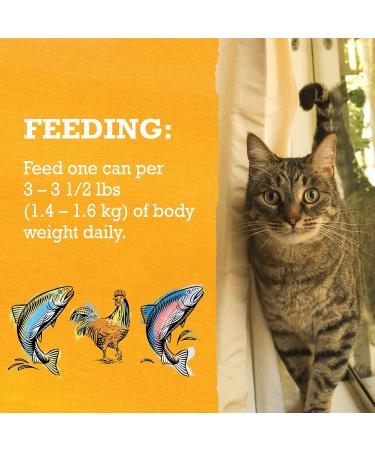 Beyond Grain Free Natural Wet Cat Food Pate Variety Pack 3 Flavours - 85 g Can (12 Pack) - Buy Online on GoSupps.com
