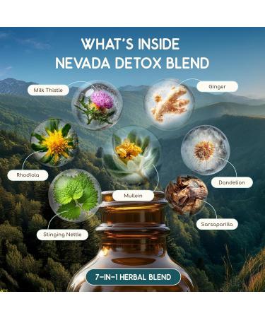 HerbEra Nevada Herbal Detox Blend - USDA Organic Extract Made in USA | Immune & Liver Support Liquid Drops | Dandelion Root Ginger Milk Thistle Rhodiola Sarsaparilla | 2 fl oz - Buy Online on GoSupps.com