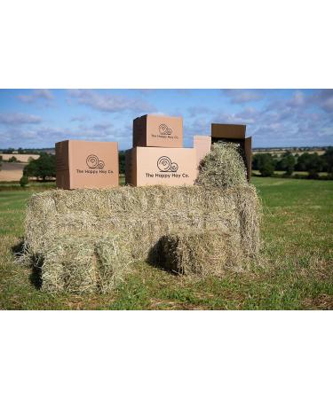 The Happy Hay Company Timothy Rabbit Hay - Fresh Feeding Hay For Rabbits & Guinea Pigs (10KG) 20 g (Pack of 500) - Buy Online on GoSupps.com