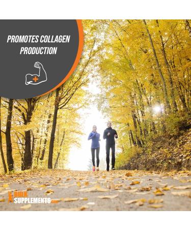 Bulksupplements Ascorbyl Palmitate Powder 500mg - Liposomal Vitamin C Ester Supplement - 500g Powder - 1.1lb Pack - Buy Online on GoSupps.com