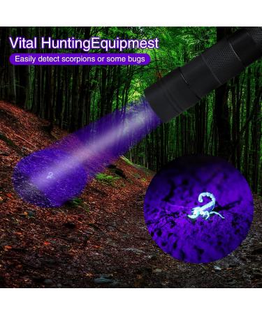 Cosoos UV Black Light Flashlight - 2 PCs Mini Pet Urine Detector with 12 LEDs - Find Urine Stains from Dogs Bed Bugs & Scorpions - No Batteries Included - Buy Online on GoSupps.com