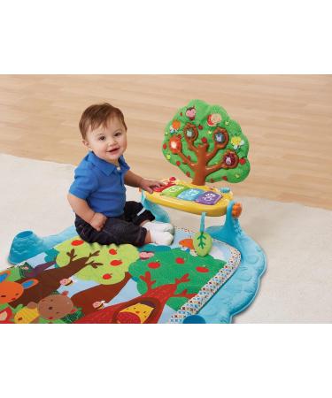 VTech Baby Music Cover - Colorful Play Gym with 4 Removable Elements & Piano - Ideal for Infants 0-24 Months - Buy Online on GoSupps.com