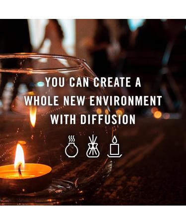 P&J Trading Fragrance | Cola Oil 10ml 2pk - Candle Scents for Candle Making Freshie Scent Soap Making Supplies Diffuser Oil Scents - Buy Online on GoSupps.com