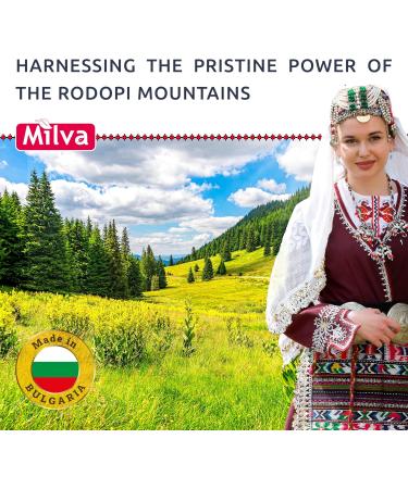 Milva Shampoo for Oily Hair with Nettle Extract - 500 ml Natural Shampoo - Oil-Reducing and Anti-Dandruff Shampoo for Men and Women - Care for Oily Hair - Volume & Shine Shampoo - Buy Online on GoSupps.com