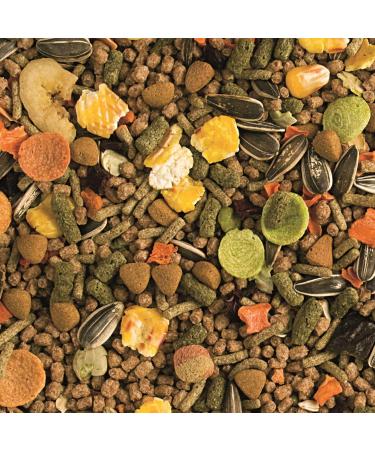 Rat 500g - Complete food for rats with sweet bananas grapes and carrots - Buy Online on GoSupps.com