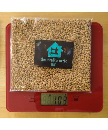 100g Wheat - Whole wheat grain 100% pure and natural quality