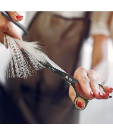 Ramaz Professional Hair Cutting Scissors Set - Extra Sharp 6.5 Stainless Steel Shears with Comb & Clips for Perfect Haircuts - Ideal for Men & Women - Buy Online on GoSupps.com