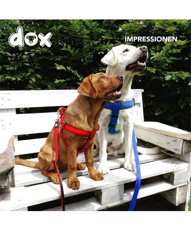 DDOXX Nylon Step-In Dog Harness - Adjustable XS Puppy Harness (Blue) - Perfect Fit for All Sizes - 1.0 x 32-44 cm - International Shipping Available - Buy Online on GoSupps.com
