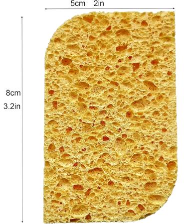 Precision Face Sponge for Gentle Exfoliation, Makeup Removal, and Cream Application - Buy Online on GoSupps.com