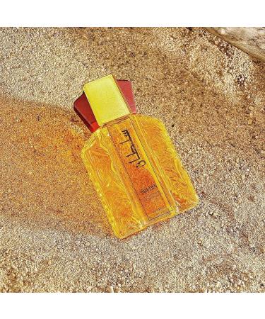 Dubai Men's Perfume - Elegant & Long Lasting Scent Eau de Toilette Perfume 100ml