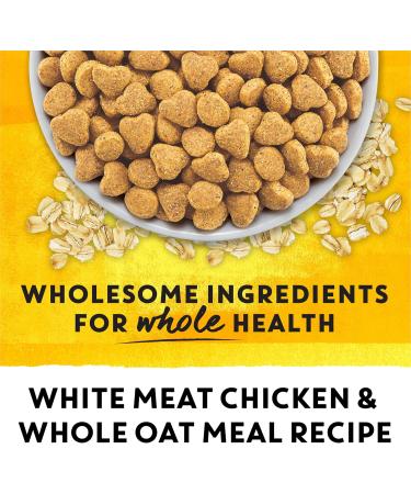 Beyond Simply Natural Dry Cat Food Farm-Raised Chicken & Whole Oat Meal - 2.72 kg Bag 2.72 kg (Pack of 1) - Buy Online on GoSupps.com