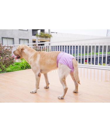 Petmia Washable Dog Diapers - Hygiene Underpants for Dogs in Heat | XS-XL Purple (60-82cm) - Buy Online on GoSupps.com