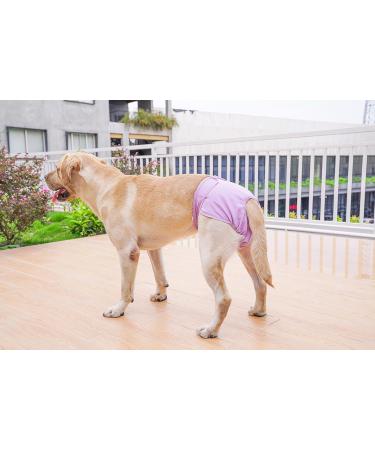 Petmia Washable Diapers for Dogs | Hygiene Underpants for Dogs in Heat | 5 Sizes XS to XL | 3-Pack Beige Black Purple - Buy Online on GoSupps.com