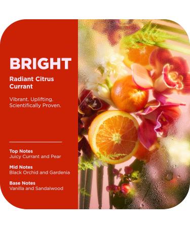 OLLY Body Wash & Body Scrub Mini pack 4 Count Hydrate & Repair Skin Barrier 3 oz - Buy Online on GoSupps.com