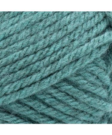 Lion Brand Hue + Me Yarn - Bulky Soft Yarn for Knitting, Crocheting, Crafting - Agave (1-Pack) - Buy Online on GoSupps.com