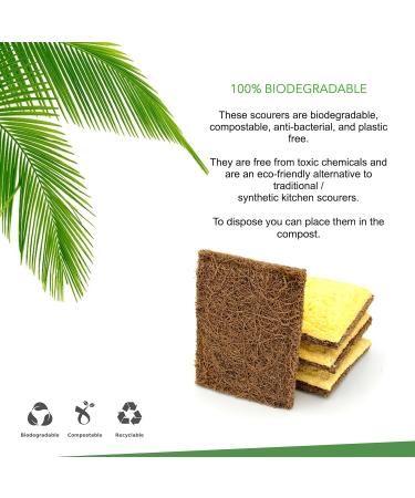 Biodegradable Sponge Coconut Fiber with Cellulose Eco Sponge Natural Sponges for Dishes Sustainable Environmentally Friendly Kitchen Scouring Pad Scratch Free Compostable 4 Pack - Buy Online on GoSupps.com