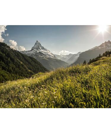  Ricola Ricola Tisana Distensive Relax Pack 12 x 200 g - Buy Online on GoSupps.com