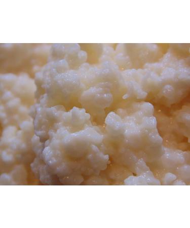 Naturally Harmonious EcoSystems Organic Milk Kefir Grains - Live Culture for Health & Wellness | Fast International Shipping - Buy Online on GoSupps.com